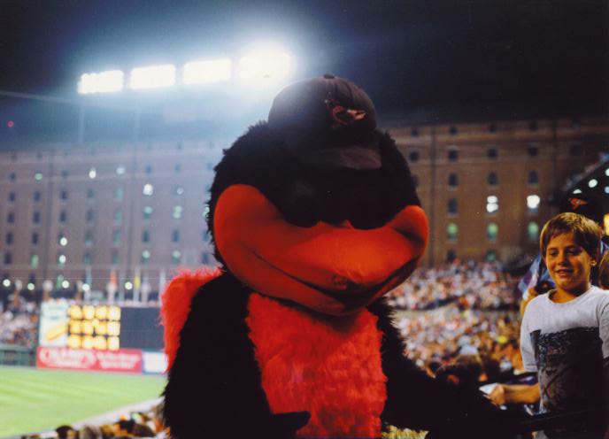 The Oriole Bird - The Orioles Mascot
